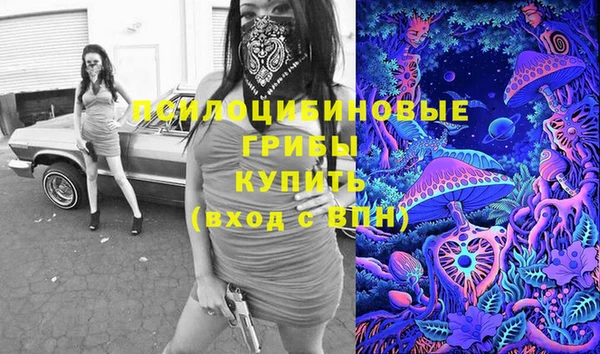 а пвп мука Инсар